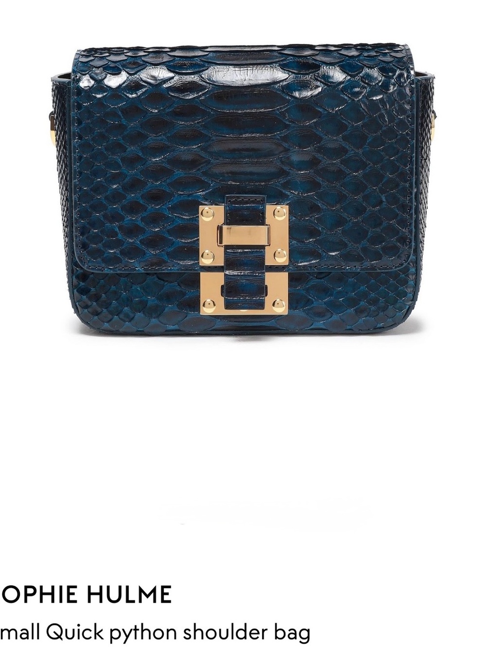 Blue Python-Texture Crossbody Bag with Gold Hardware - Picture 2 of 4